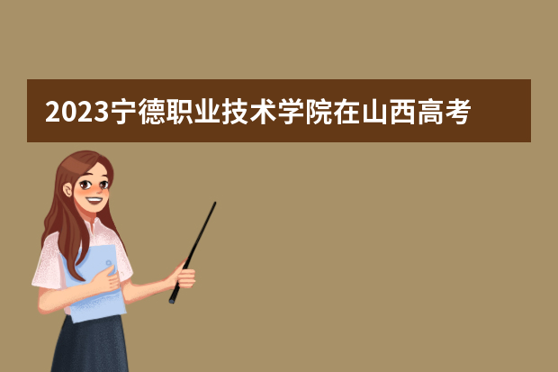 2023宁德职业技术学院在山西高考专业招生计划人数是多少