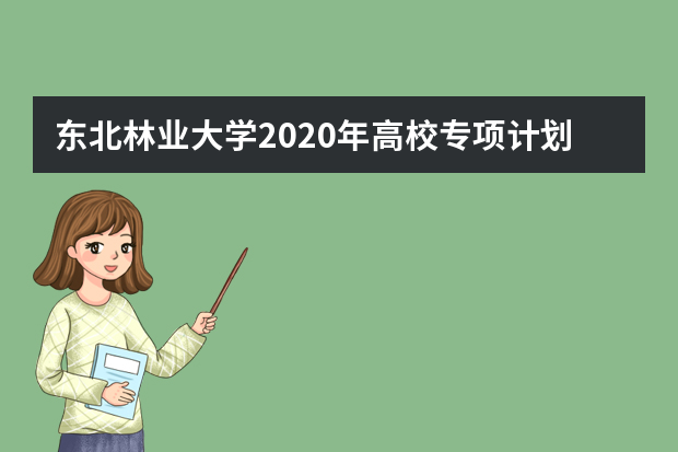 东北林业大学2020年高校专项计划招生如何填报志愿？