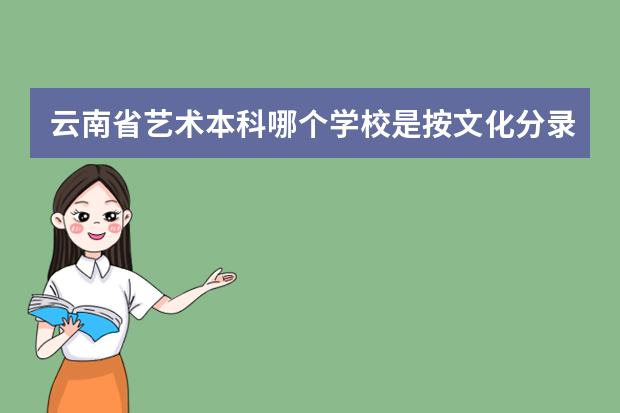 云南省艺术本科哪个学校是按文化分录取的