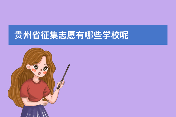 贵州省征集志愿有哪些学校呢